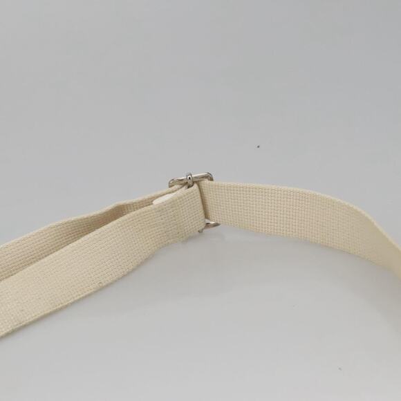 DIOR Trotter Canvas Shoulder Bag White - Picture 8 of 12